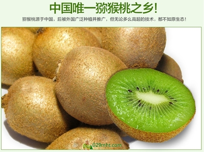 【預(yù)售開啟】2015年度優(yōu)質(zhì)徐香獼猴桃，邀您搶先品嘗金秋碩果